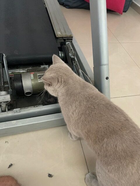 5 תיקוני הליכונים הכי מוזרים שראינו
